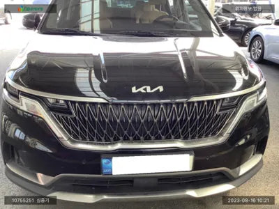 2021 Kia Carnival KNANC81BBNS143069 VIN:KNANC81BBNS143069