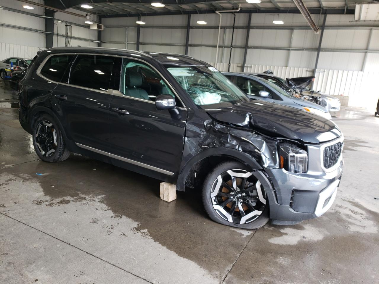 2024 KIA TELLURIDE EX VIN:5XYP3DGCXRG474736