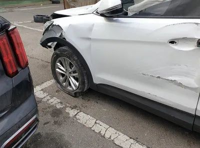2018 Hyundai Santa FE KMHSW81UBJU793209 VIN:KMHSW81UBJU793209