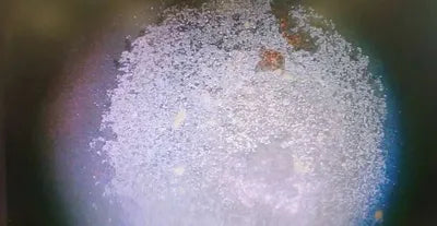 2019 Mercedes-Benz Maybach S 560 VIN: