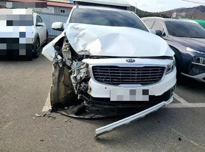 2016 Kia Carnival KNAMC81ABGS201867 VIN:KNAMC81ABGS201867
