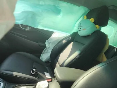 2020 Hyundai Kona KMHK4815GLU563369 VIN:KMHK4815GLU563369