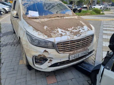 2020 Kia Carnival 879KMKNAME81ABLS6 VIN:879KMKNAME81ABLS6