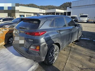 2020 Hyundai Kona KMHK381EGLU009425 VIN:KMHK381EGLU009425