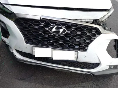2019 Hyundai Santa FE KMHS381CDKU003486 VIN:KMHS381CDKU003486