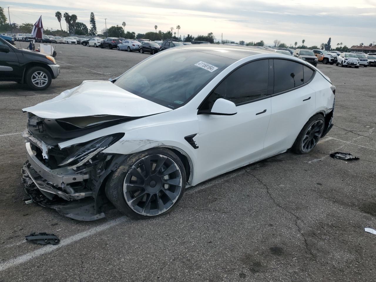 2022 TESLA MODEL Y  VIN:7SAYGDEE1NF512257