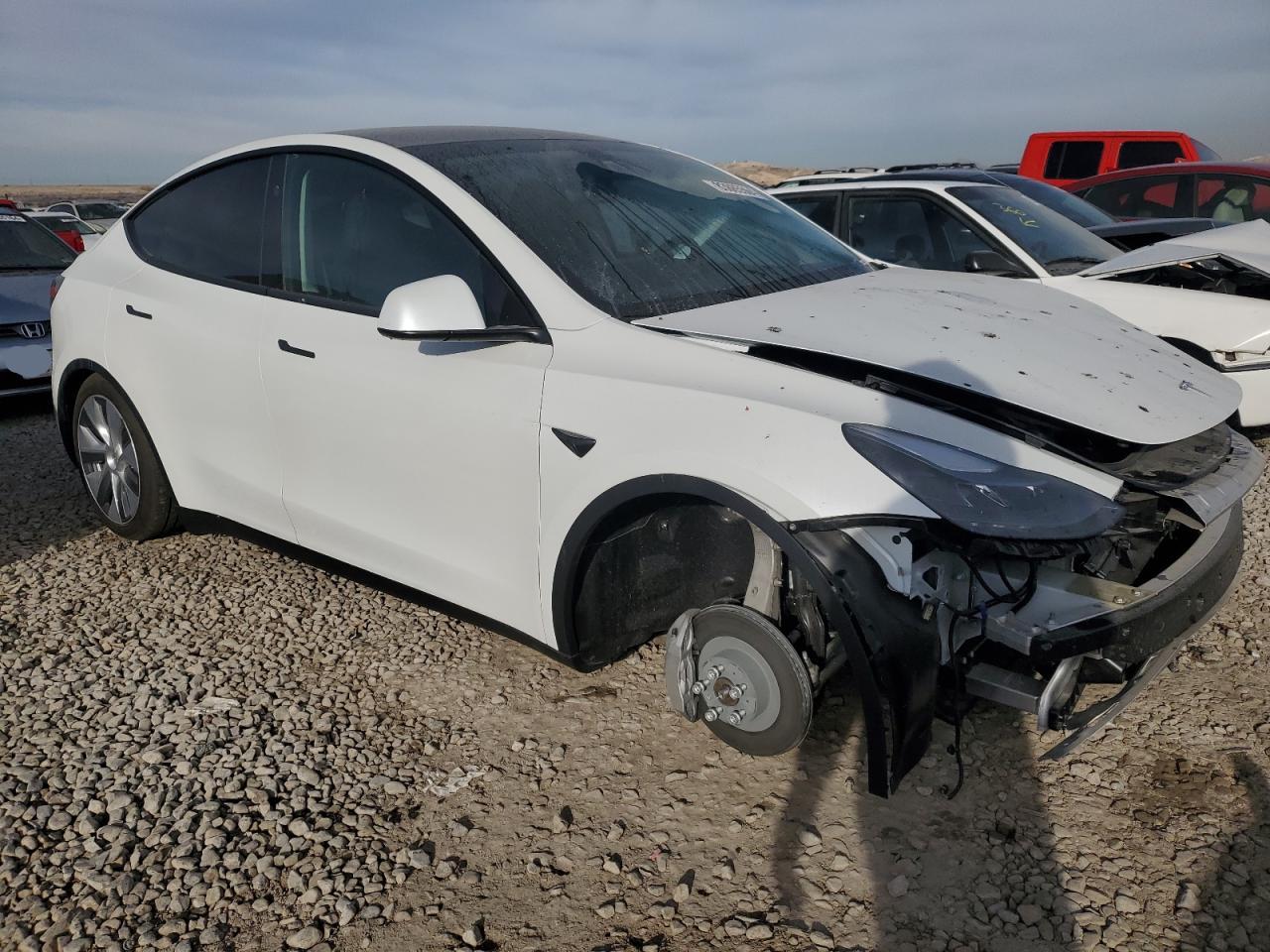 2024 TESLA MODEL Y  VIN:7SAYGDEE8RF089117