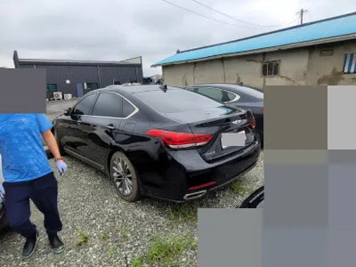 2015 acupuncture nessis 3.3 VIN: