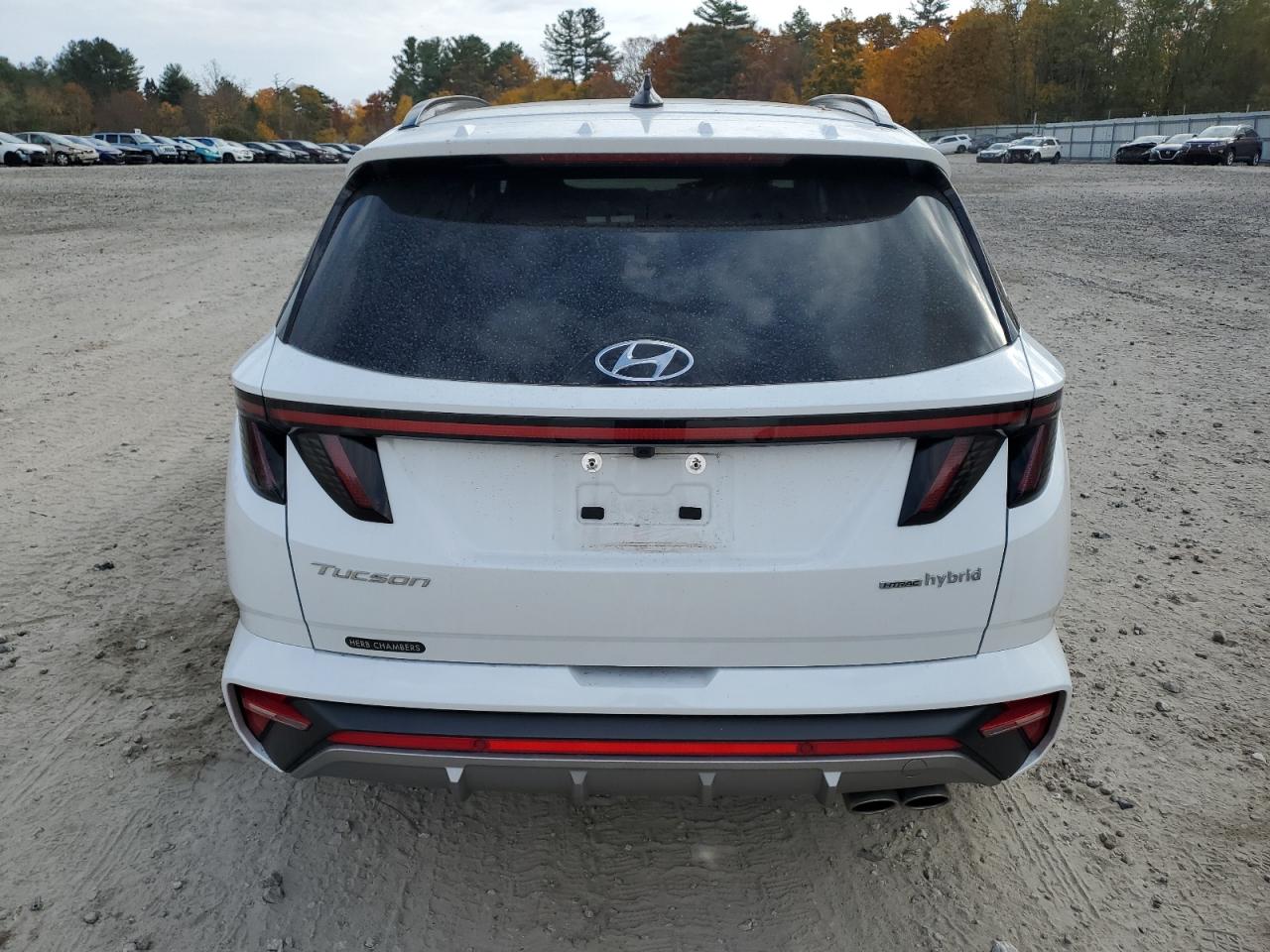 2024 HYUNDAI TUCSON N LINE VIN:KM8JFCD11RU178976