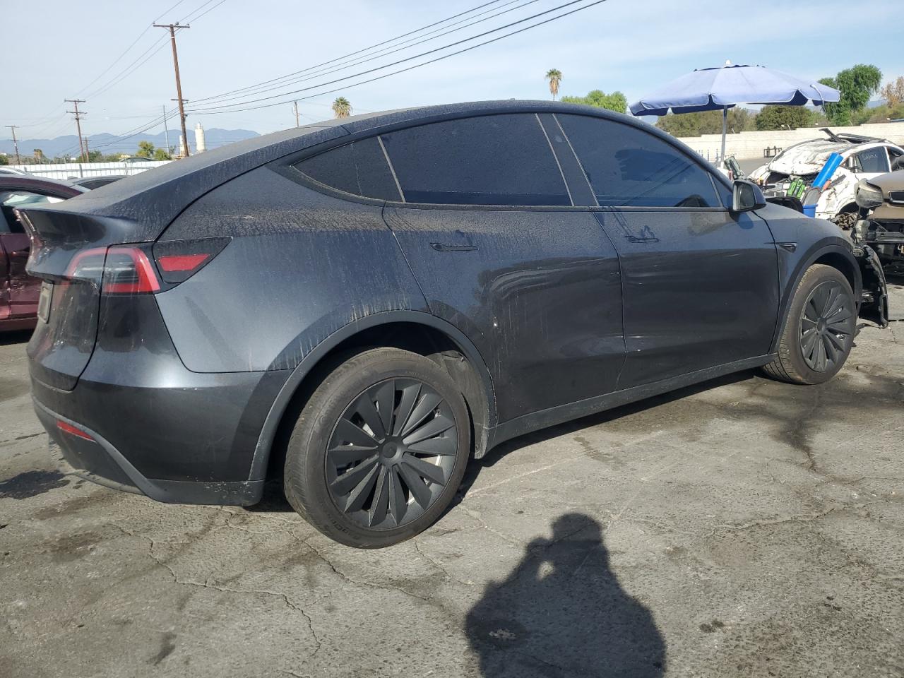 2024 TESLA MODEL Y  VIN:7SAYGDED2RF056105