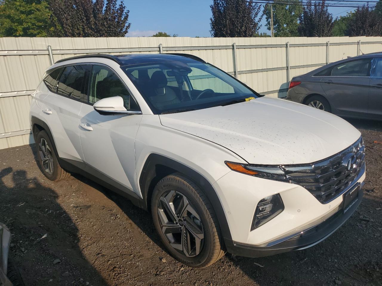 2024 HYUNDAI TUCSON LIMITED VIN:5NMJECDE2RH394028