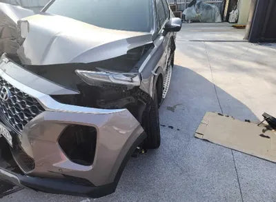 2020 Hyundai Santa FE KMHS381CDLU246684 VIN:KMHS381CDLU246684