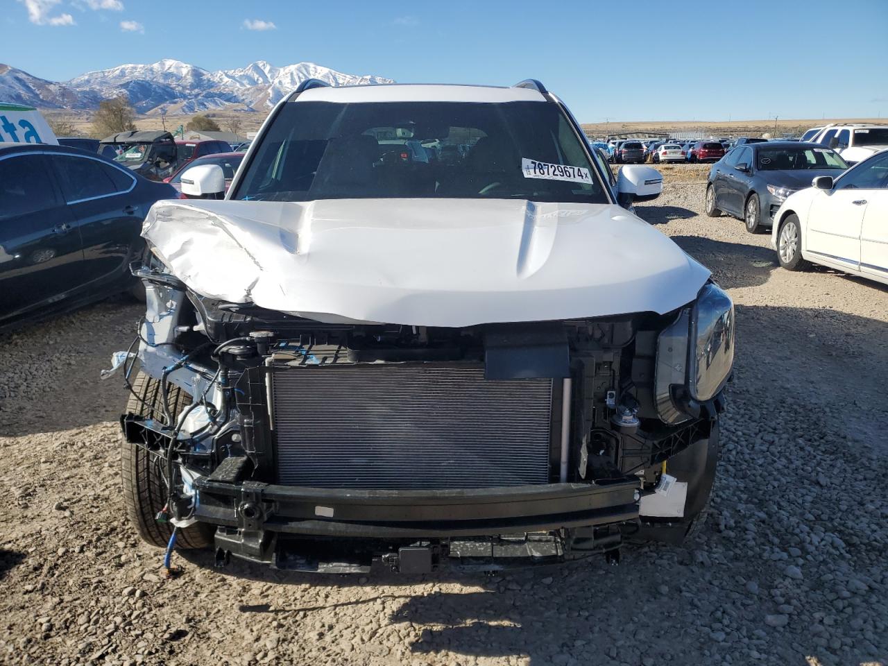 2024 KIA TELLURIDE SX VIN:5XYP5DGC7RG551637