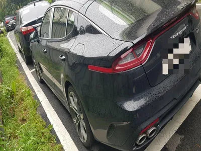 2020 Kia Stinger KNAE751CDLS085806 VIN:KNAE751CDLS085806