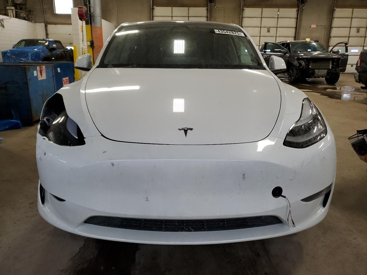 2024 TESLA MODEL Y  VIN:7SAYGDEE5RF191281