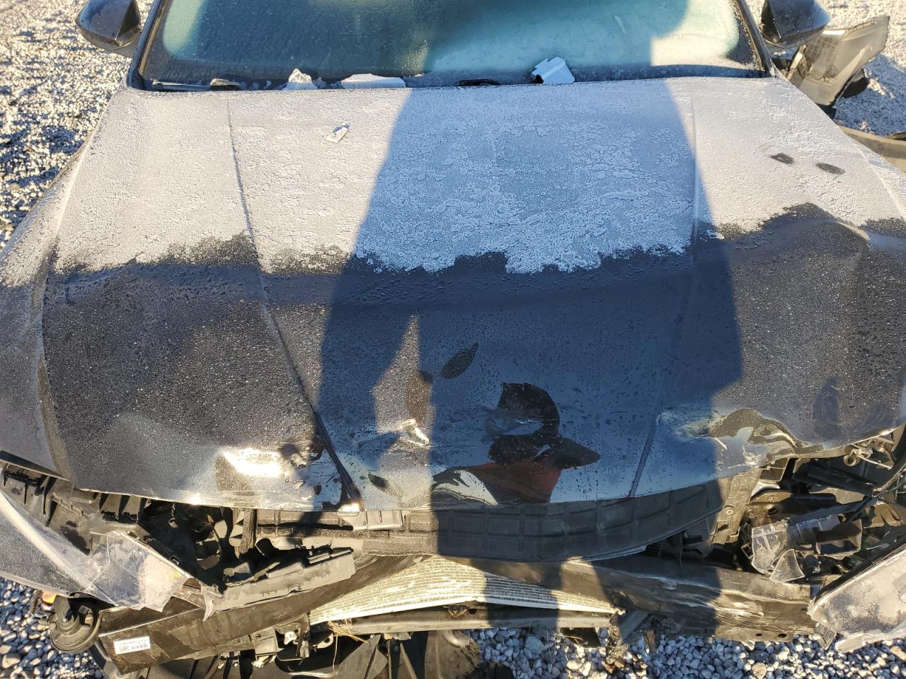 2023 HYUNDAI ELANTRA SEL VIN:5NPLM4AG5PH119549