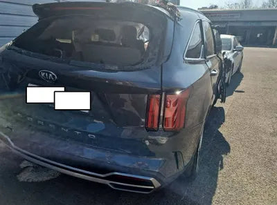 2021 Kia Sorento KNARL81BGMA008213 VIN:KNARL81BGMA008213