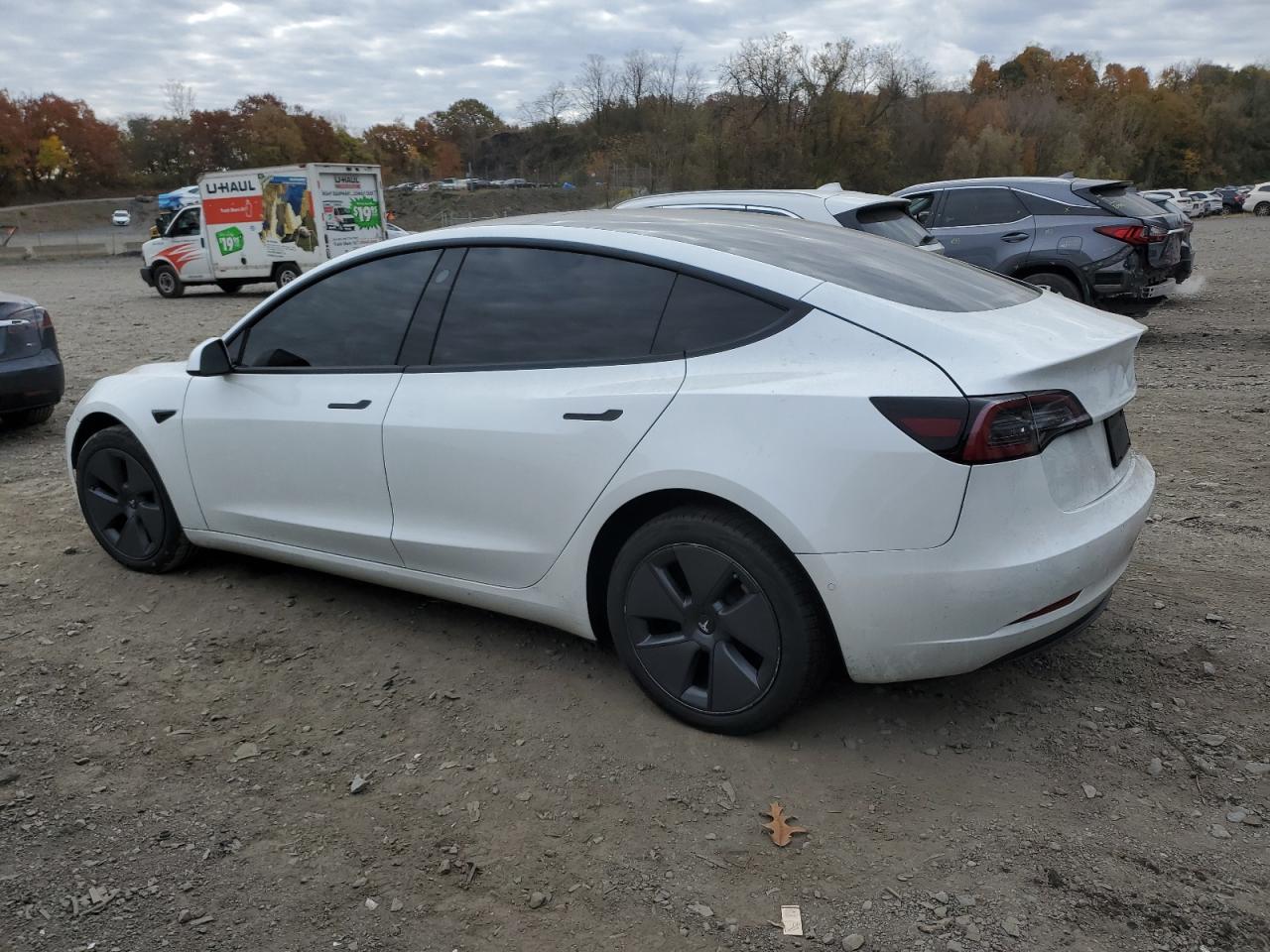 2022 TESLA MODEL 3  VIN:5YJ3E1EB6NF265576