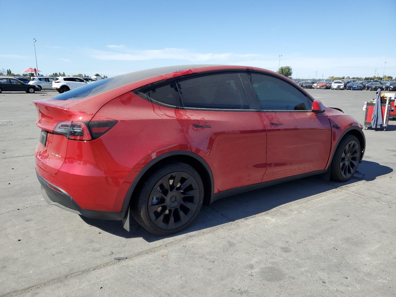 2023 TESLA MODEL Y  VIN:7SAYGAEE3PF871854