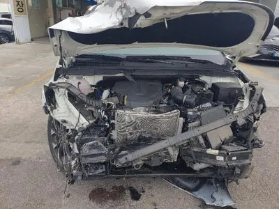 2021 Kia Carnival KNANE81BBMS025839 VIN:KNANE81BBMS025839