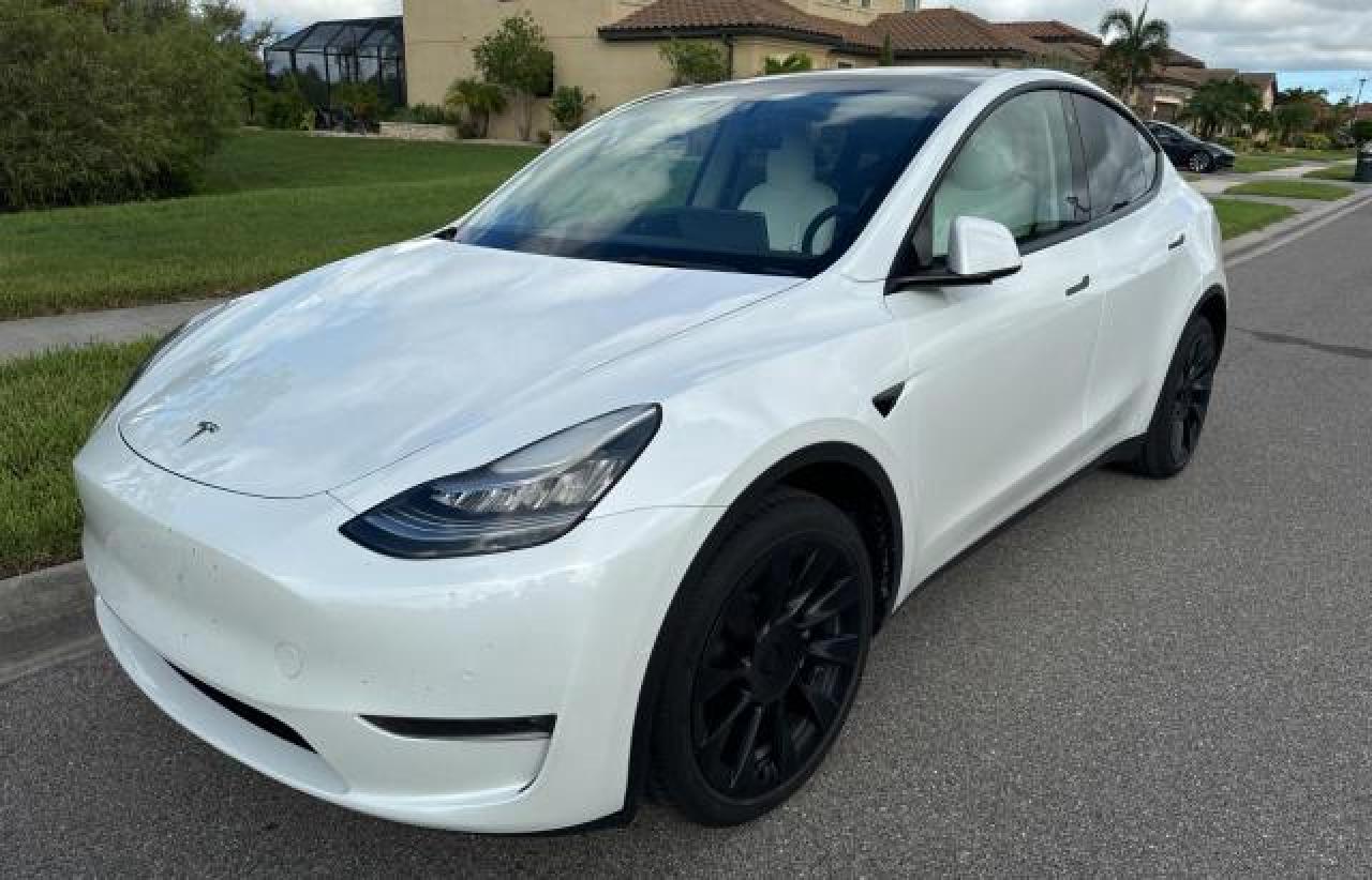 2022 TESLA MODEL Y  VIN:7SAYGDEE4NF443435