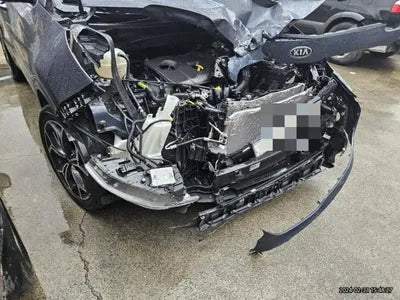 2019 Kia Sportage KNAPP81ABKK643821 VIN:KNAPP81ABKK643821