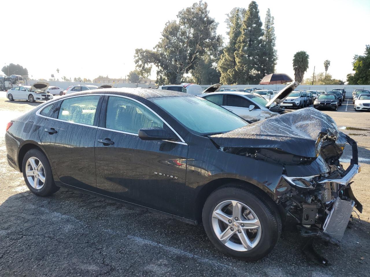 2023 CHEVROLET MALIBU LT VIN:1G1ZD5STXPF248787