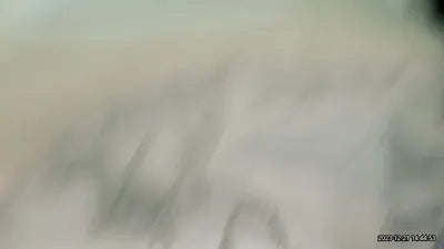 2021 Mercedes-Benz AMG GT 43 W1K7X5KB9MA042808 VIN:W1K7X5KB9MA042808