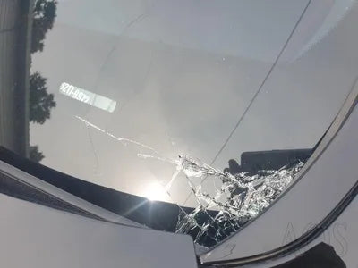 2021 Hyundai Santa FE KMHS281HHMU395114 VIN:KMHS281HHMU395114