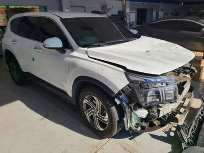2021 Hyundai Santa FE KMHS281HGMU398339 VIN:KMHS281HGMU398339