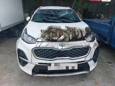 2020 Kia Sportage VIN: