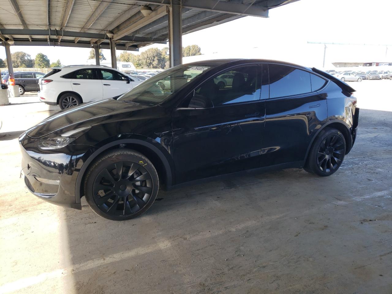 2023 TESLA MODEL Y  VIN:7SAYGAEEXPF772075