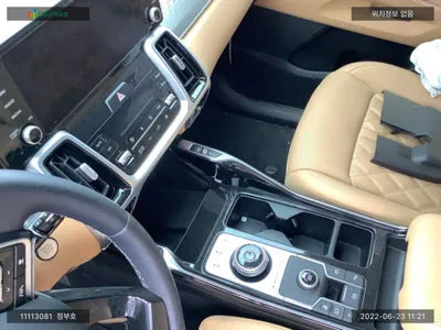 2020 Kia Sorento KNARH81GBMA020392 VIN:KNARH81GBMA020392