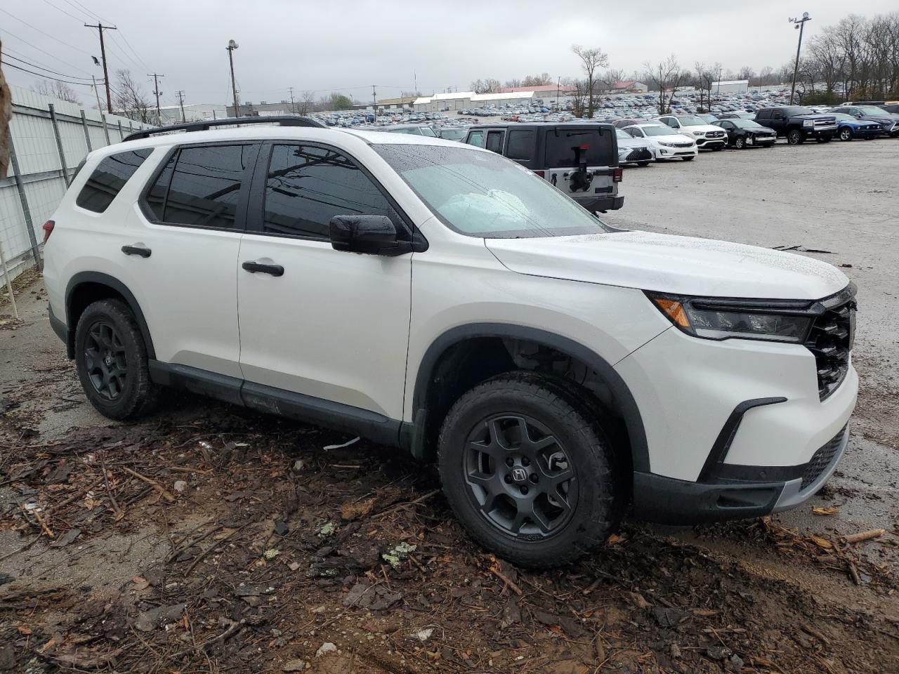 2024 HONDA PILOT TRAILSPORT VIN:5FNYG1H65RB036567