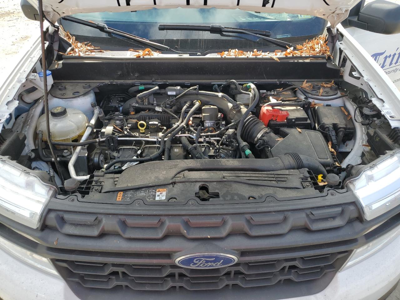 2023 FORD MAVERICK XL VIN:3FTTW8E96PRA56911