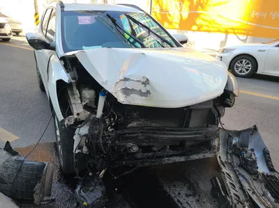 2015 Hyundai Santa FE KMHSW81UDGU601982 VIN:KMHSW81UDGU601982