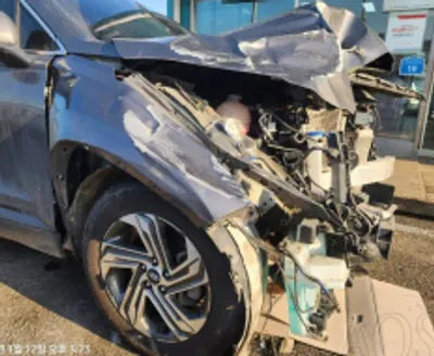 2021 Hyundai Santa FE KMHS281HGMU323267 VIN:KMHS281HGMU323267