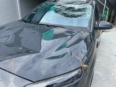 2022 Hyundai Kona KMHK3813GPU982175 VIN:KMHK3813GPU982175