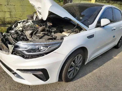 2019 Kia K5 KNAGT416BLA355261 VIN:KNAGT416BLA355261