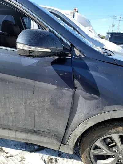 2016 Hyundai Santa FE KMHSW81XBGU540496 VIN:KMHSW81XBGU540496