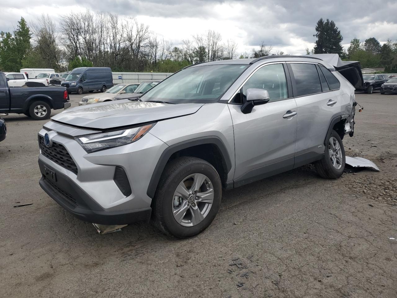 2024 TOYOTA RAV4 XLE VIN:4T3RWRFV5RU115845