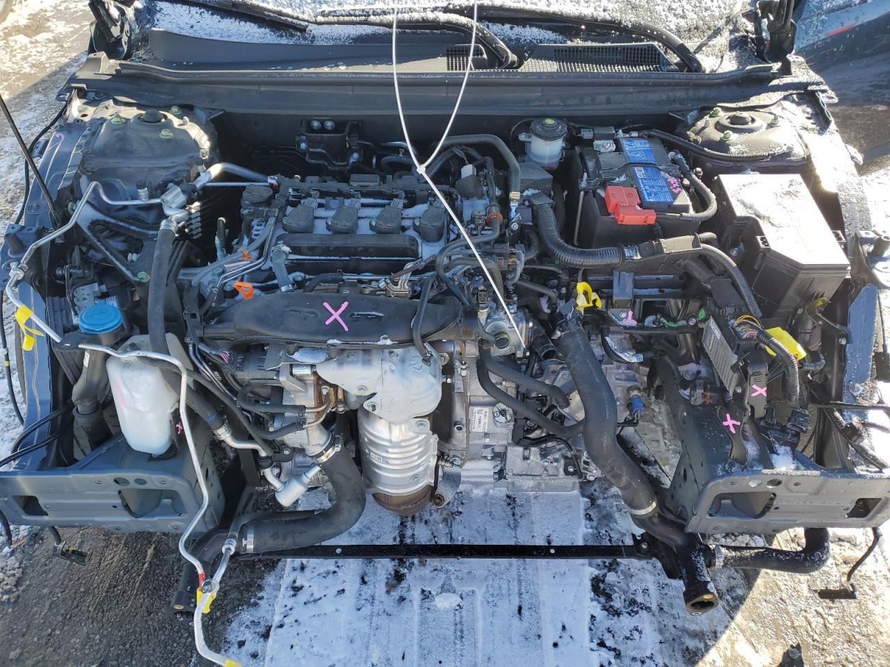 2023 HONDA ACCORD LX VIN:1HGCY1F21PA029145