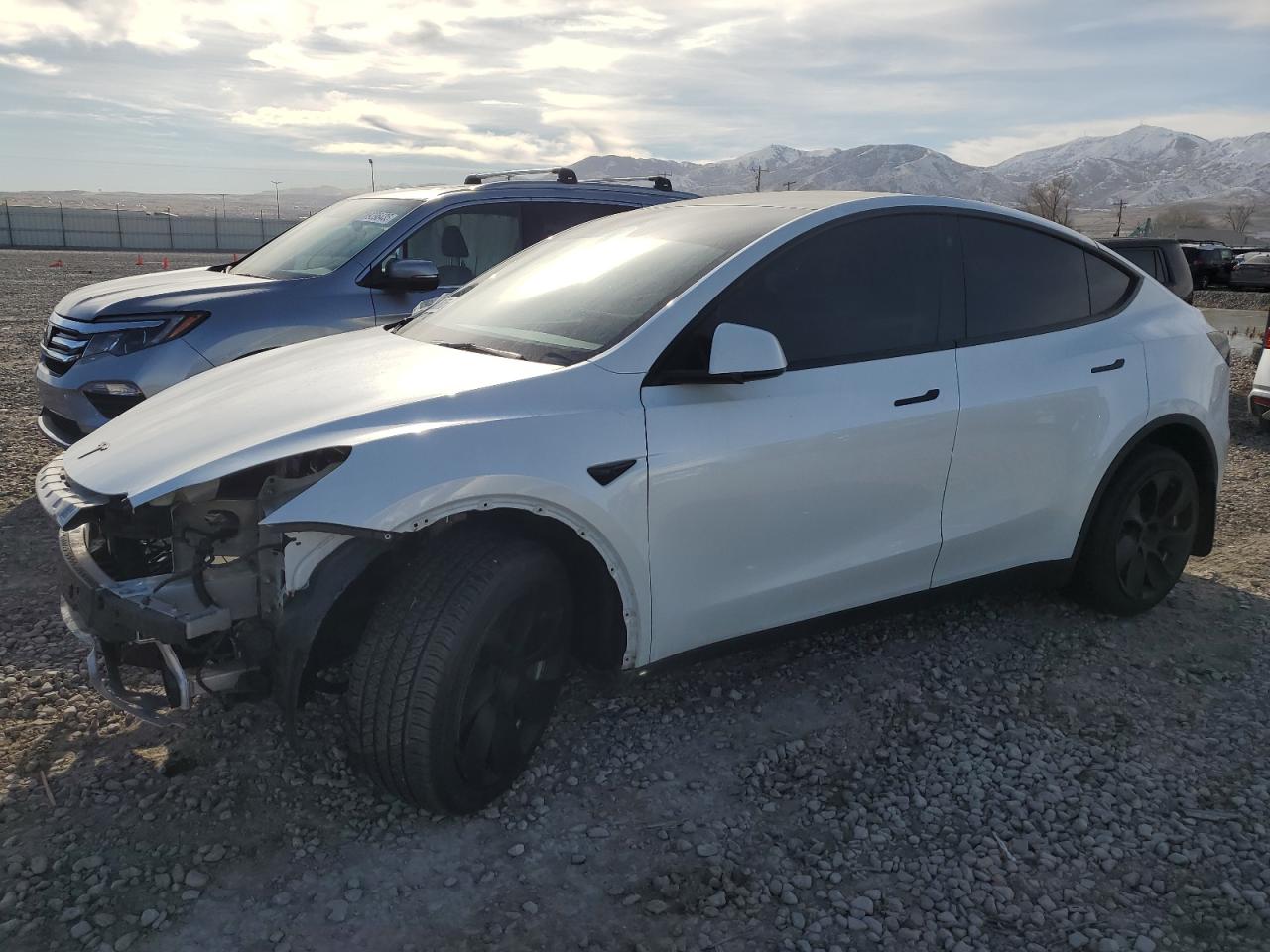 2023 TESLA MODEL Y  VIN:7SAYGDEE2PA115401