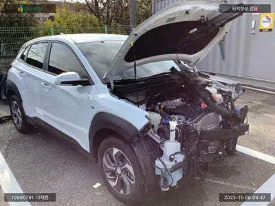 2020 Hyundai Kona KMHK381EGLU034872 VIN:KMHK381EGLU034872
