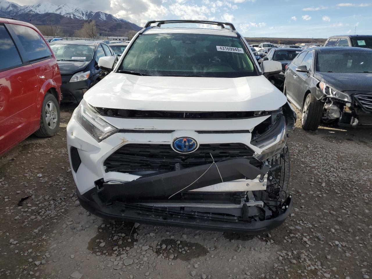 2024 TOYOTA RAV4 XLE VIN:JTMRWRFV8RD238892