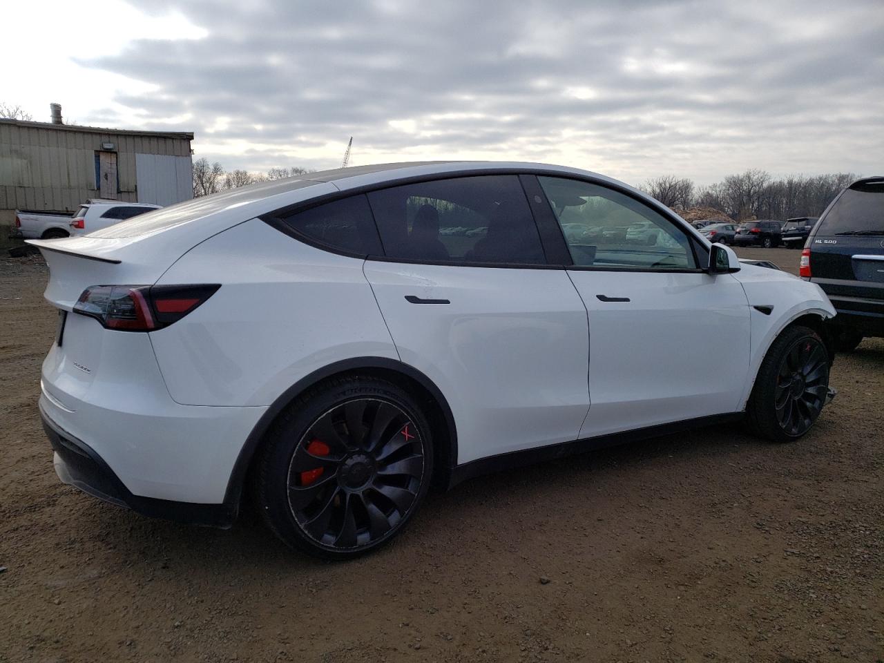 2023 TESLA MODEL Y  VIN:7SAYGDEFXPF855628