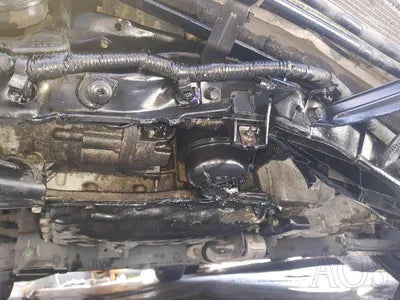 2019 Kia Carnival KNAME81ABKS505774 VIN:KNAME81ABKS505774