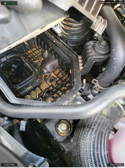 2022 Genesis G90 KMTFA41DDNU006118 VIN:KMTFA41DDNU006118