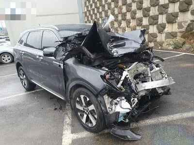 2021 Kia Sorento KNARL81BGMA097542 VIN:KNARL81BGMA097542