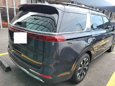 2023 Kia Carnival KNANC813BPS225973 VIN:KNANC813BPS225973